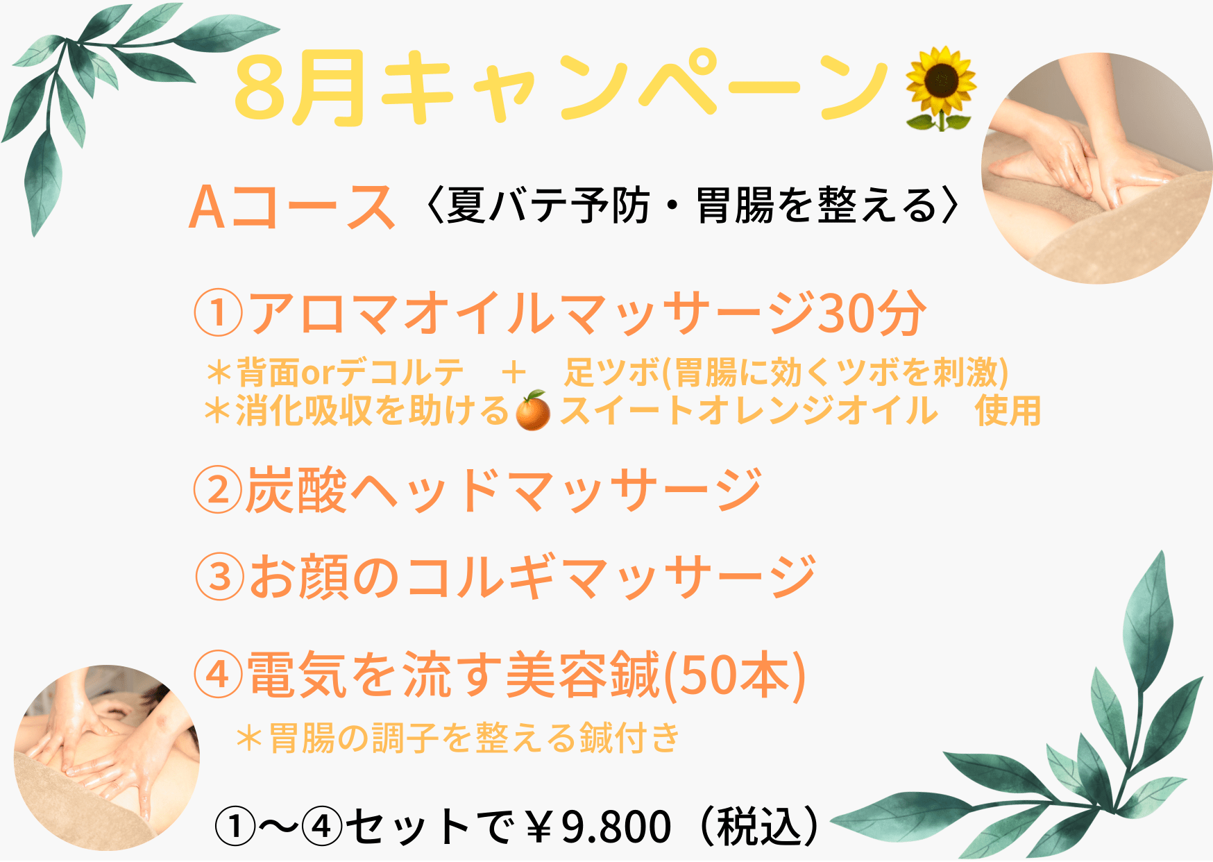 🌻8月キャンペーン📣